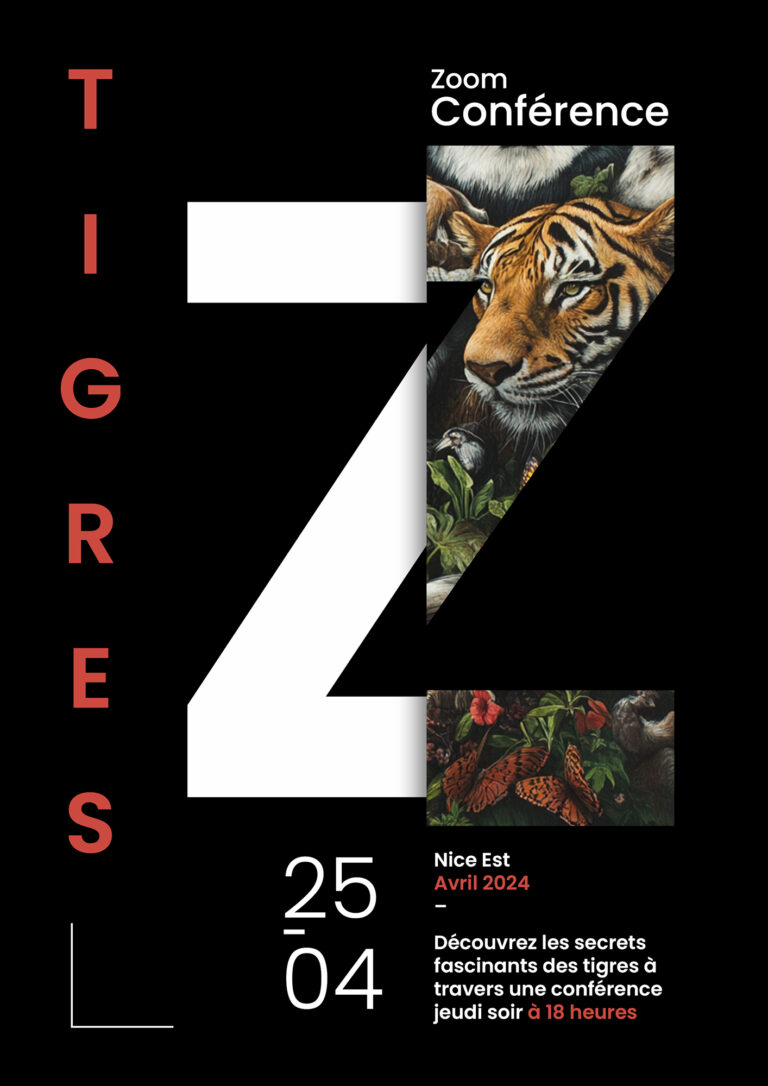 affiche tigre